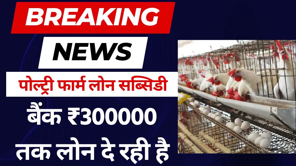 Poultry Farm Loan 2024