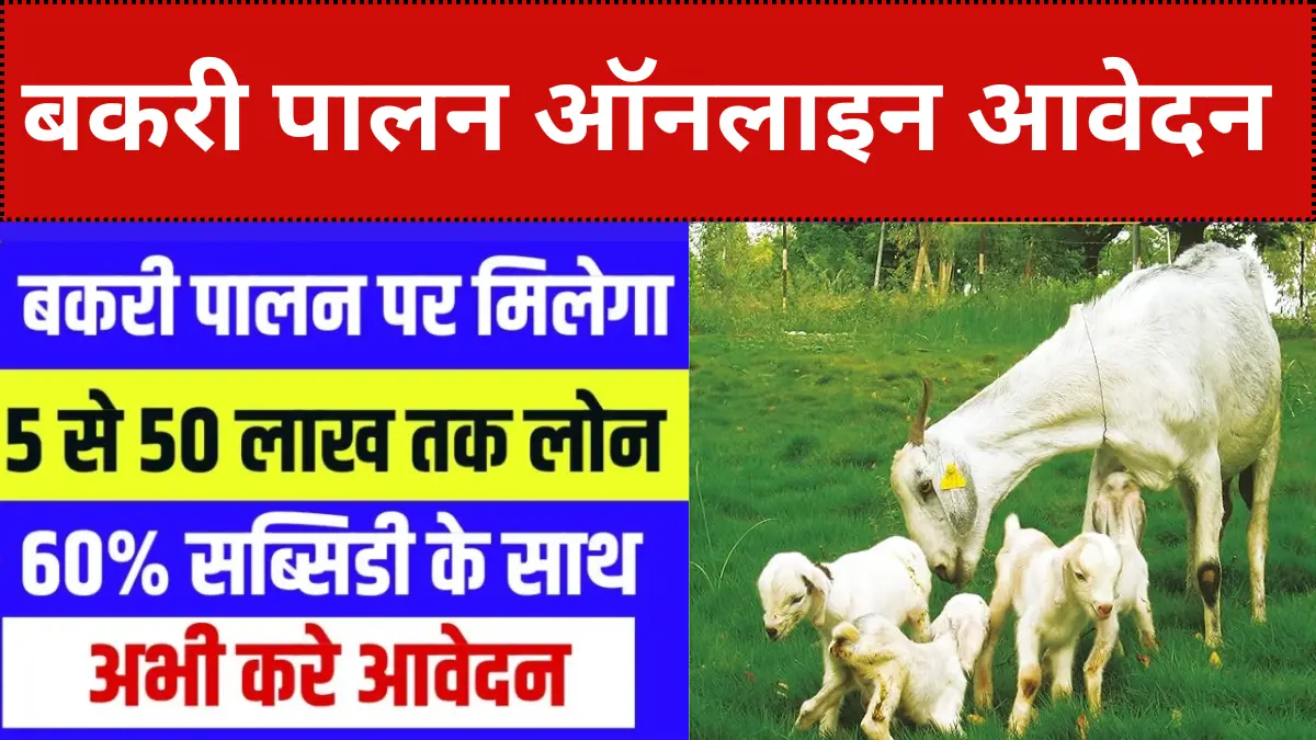 Rajasthan Bakri Palan Yojana Online Apply 2024