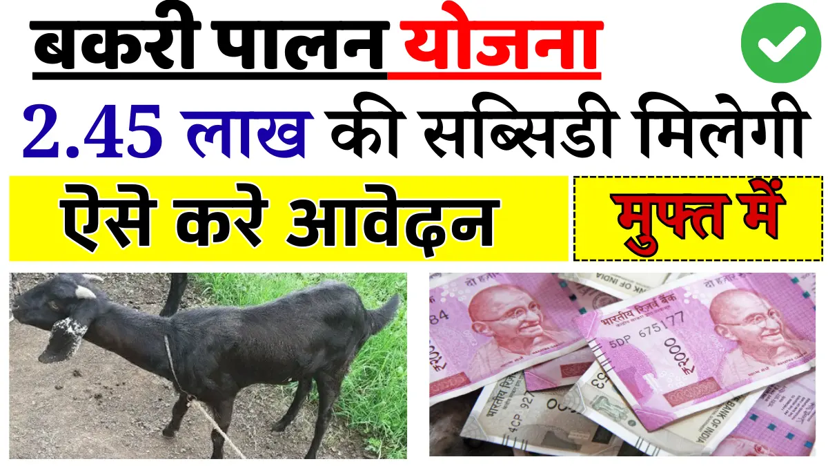 Bihar Bakri Palan Yojana