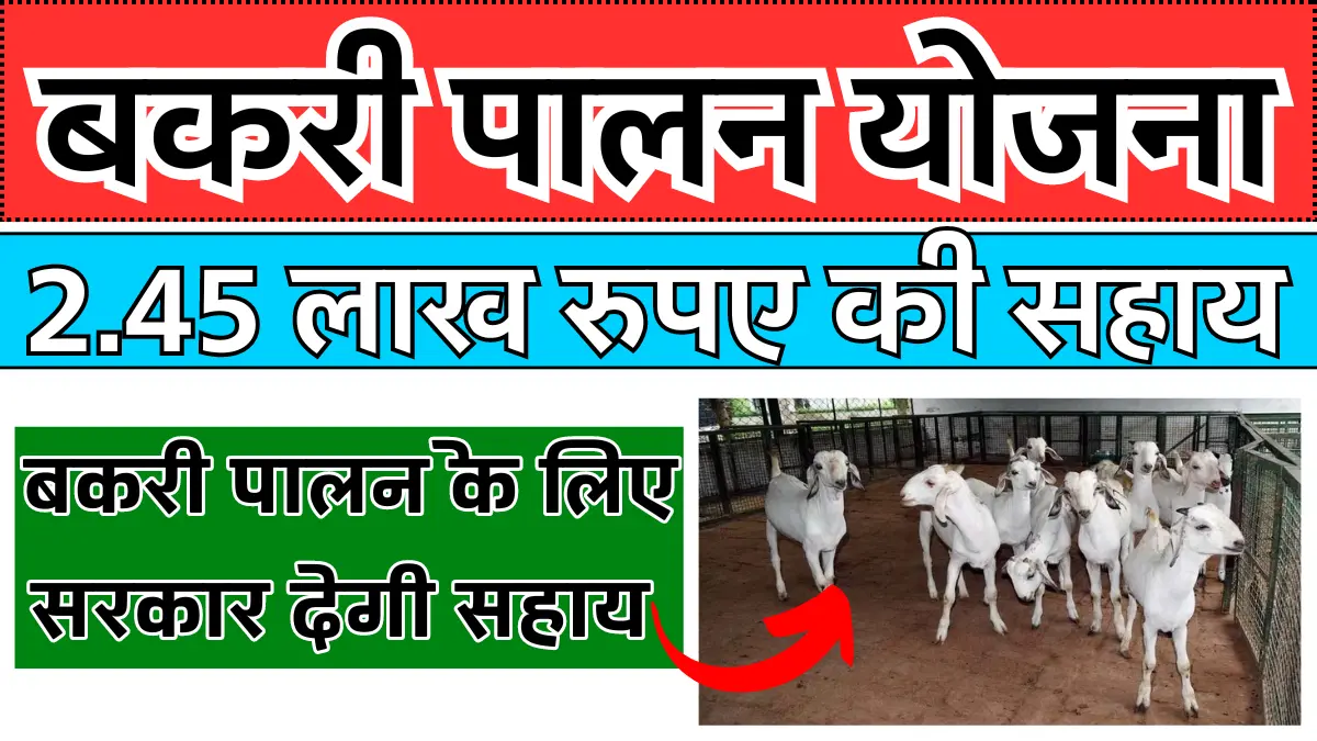 Bihar Bakri Palan Yojana 2024