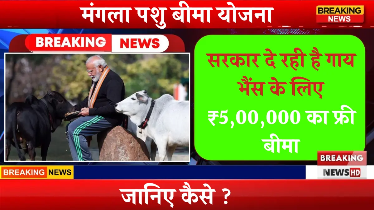 Mangla Pashu Bima Yojana 2024