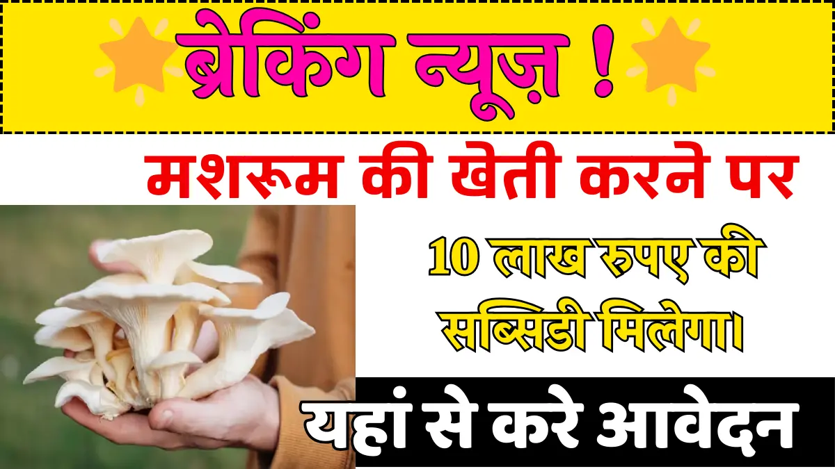 Bihar Mushroom Farming Subsidy Yojana