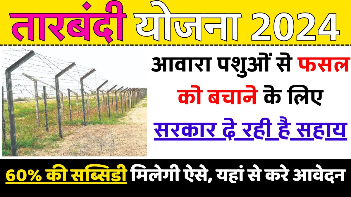 UP Tarbandi Yojana 2024