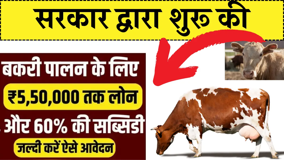 Rajasthan Bakri Palan Yojana 2025