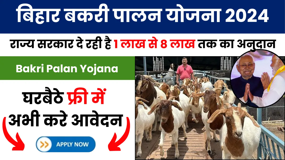 Bihar Bakri Palan Yojana 2024-25