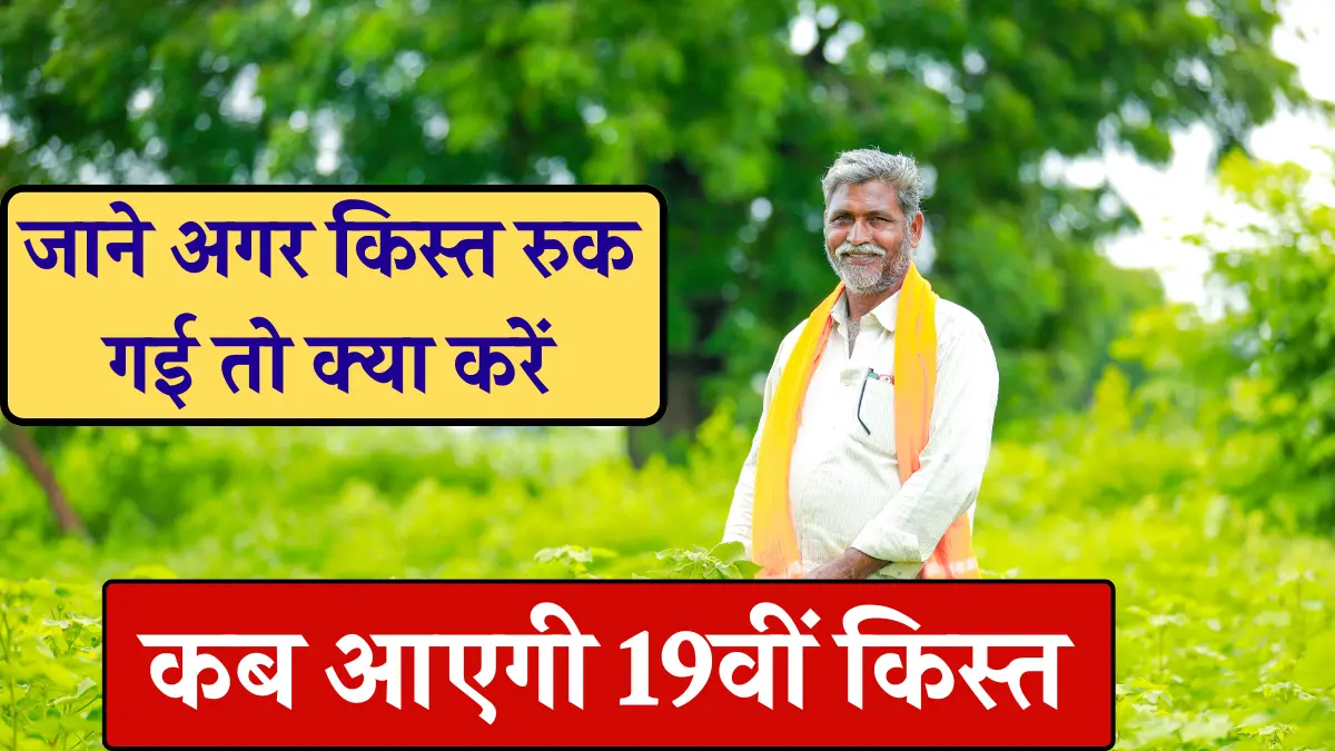 19 kist kab aayegi pm kisan